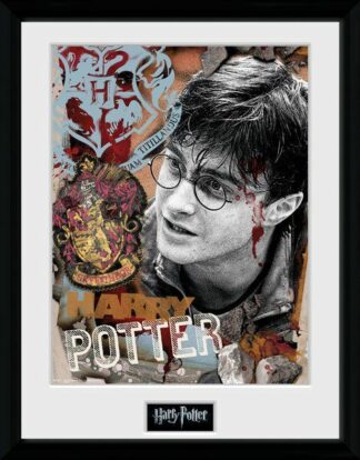 Poster Collector Print Gbeye Harry Potter : Harry [30x40cm]