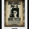 Collector Print Gbeye Harry Potter : Undesirable No 1 [30x40cm]