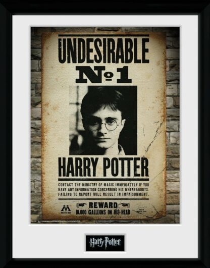 Collector Print Gbeye Harry Potter : Undesirable No 1 [30x40cm]