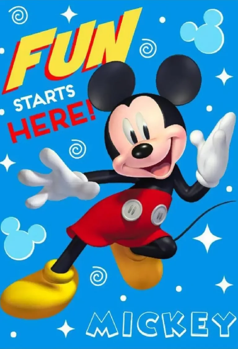 Plaid Disney Mickey Mouse