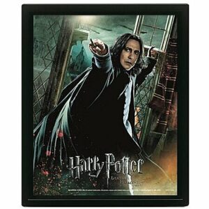 Cadre Effet 3D Lenticulaire 26x20cm Harry Potter : Deathly Hallows