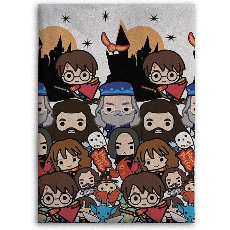 Plaid Polaire 100x140cm Harry Potter : Personnages